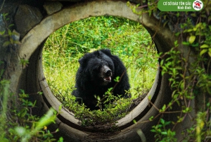 Hanoi Ninh Binhin karhujen turvapaikka tai Trang An, Mua-luola, Hoa Lu