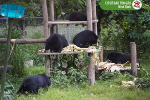 Hanoi Ninh Binhin karhujen turvapaikka tai Trang An, Mua-luola, Hoa Lu