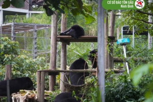 Hanoi Ninh Binhin karhujen turvapaikka tai Trang An, Mua-luola, Hoa Lu