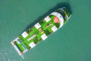 Hanoi: Ninh Binh og Halong Bay – 2 dage, 1 nat i bungalow