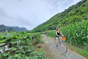 Hanoi: Ninh Binh, Hoa Lu, Tam Coc ja Mua-luola päiväretki