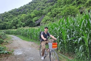 Hanoi: Ninh Binh, Hoa Lu, Tam Coc ja Mua-luola päiväretki