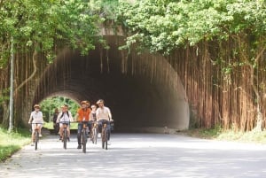 Hanoi: Ninh Binh, Tam Coc, Mua Cave & Hoa Lu with cycling