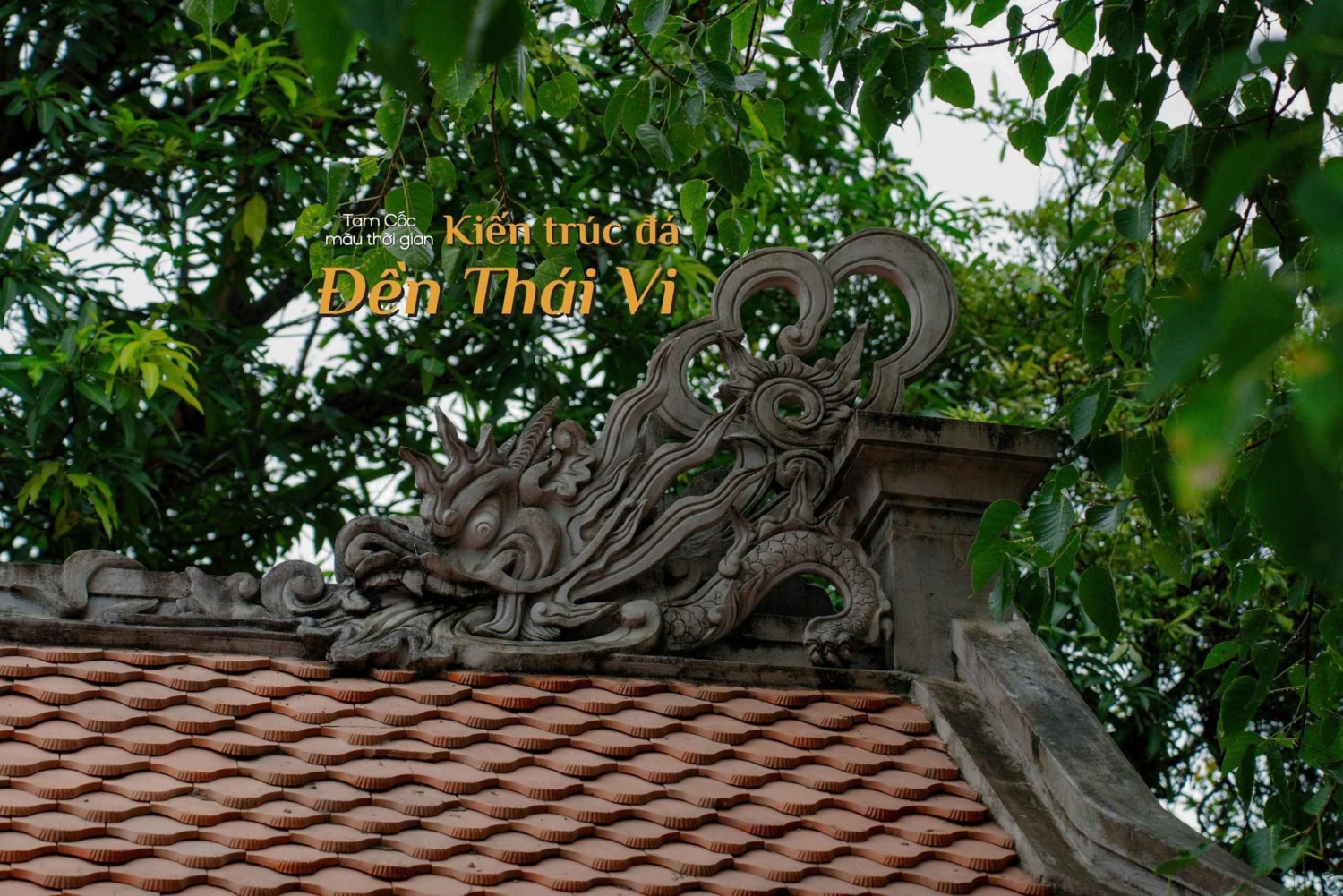 Hanoi: Ninh Binh Thai Vi-tempeltour met boot- en fietstocht