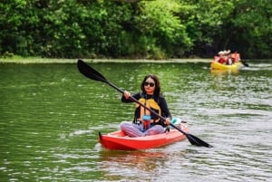 Hanoi: Ninh Binh-tur Hoa Lu, Trang An & Mua-grottan & Van Long