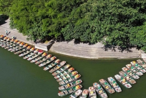 Hanoi:Ninh Binh-Trang An-Mua Cave-Hoa Lu&Cycling BEST SELGER