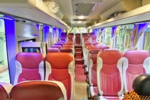 Z Hanoi: 1-dniowy rejs po zatoce Halong z dużymi i małymi grupami