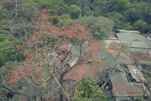 Hanoi: Perfume Pagoda & Boat or Lotus Silk Village & Incense