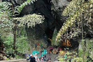 Hanoi: Perfume Pagoda Day Tour with Boat Ride & Cave Visit