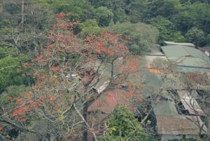 Hanoi: Pagoda dei Profumi con giro in barca e villaggio della seta di loto