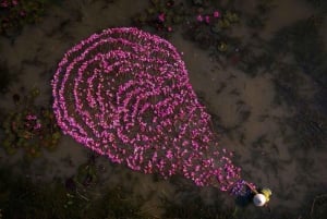 Hanoi: Pagoda dei Profumi con giro in barca e villaggio della seta di loto