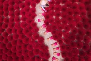 ハノイのPhung Xaロータスシルク手工芸村またはお香、帽子