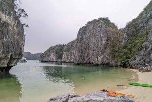 Hanoi: Baia di Lan Ha e isola di Cat Ba 1 o 2 giorni in crociera di lusso