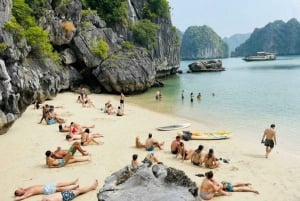 Hanoi: Baia di Lan Ha e isola di Cat Ba 1 o 2 giorni in crociera di lusso