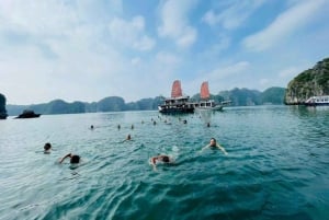 Hanoi: Baia di Lan Ha e isola di Cat Ba 1 o 2 giorni in crociera di lusso
