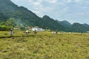 Hanoi: Baia di Lan Ha e isola di Cat Ba 1 o 2 giorni in crociera di lusso
