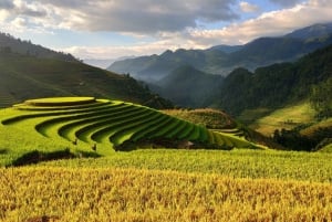 Hanoi: avventura premium di 2/3 giorni a Sapa con limousine DCAR