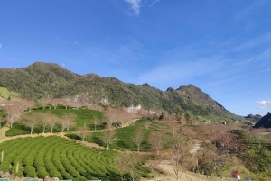Hanoi: Privé Sapa 2D1N – Cat Cat, O Quy Ho Pass & Fansipan
