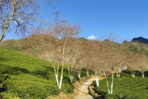 Hanoi: Privé Sapa 2D1N – Cat Cat, O Quy Ho Pass & Fansipan