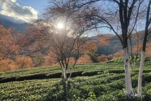 Hanoi: Privé Sapa 2D1N – Cat Cat, O Quy Ho Pass & Fansipan