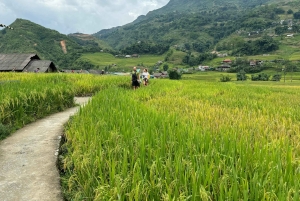 Hanoi: Privé Sapa 2D1N – Cat Cat, O Quy Ho Pass & Fansipan