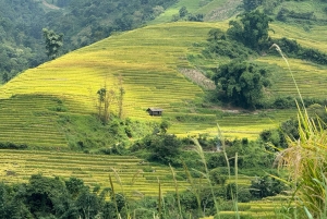 Hanoi: Privé Sapa 2D1N – Cat Cat, O Quy Ho Pass & Fansipan