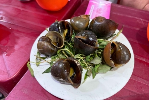 Excursão ao espetáculo Quintessence Of Tonkin a partir do bairro antigo de Hanói