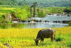 Hanoi: Senderismo de 2 días por la naturaleza de Pu Luong, fin del viaje en Ninh Binh