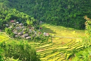 Hanoi: Senderismo de 2 días por la naturaleza de Pu Luong, fin del viaje en Ninh Binh