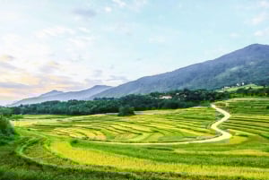 Hanoi: Senderismo de 2 días por la naturaleza de Pu Luong, fin del viaje en Ninh Binh
