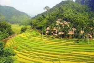 Hanoi: Senderismo de 2 días por la naturaleza de Pu Luong, fin del viaje en Ninh Binh