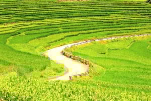 Hanoi: Senderismo de 2 días por la naturaleza de Pu Luong, fin del viaje en Ninh Binh
