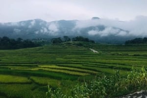 Hanoi: Senderismo de 2 días por la naturaleza de Pu Luong, fin del viaje en Ninh Binh