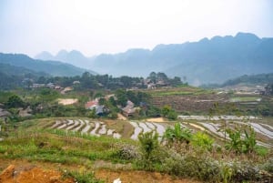 Hanoi: Senderismo de 2 días por la naturaleza de Pu Luong, fin del viaje en Ninh Binh
