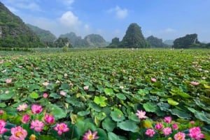Hanoï : village d'encens, Ninh Binh, Hoa Lu, Trang An/Tam Coc