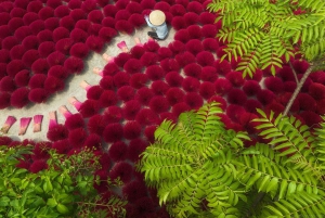 Hanoi: Villaggio del rattan e delle scarpe o Villaggio dell'incenso, Villaggio dei cappelli