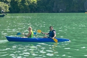 Hanoi: Rundfahrt durch die Halong-Bucht Inseln, Höhlen, Kajakfahren & Mittagessen