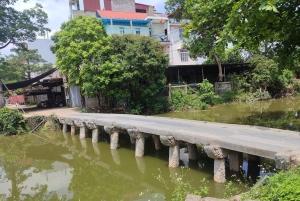 ハノイの遺産：ノム古村とドンホの民芸