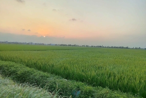 ハノイの遺産：ノム古村とドンホの民芸