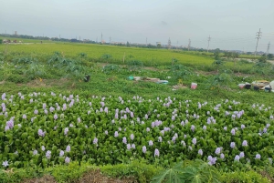 ハノイの遺産：ノム古村とドンホの民芸