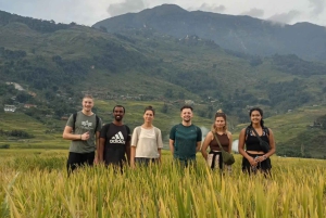 Hanói/Sapa: 2 dias de trekking em Sapa com estadia e refeições
