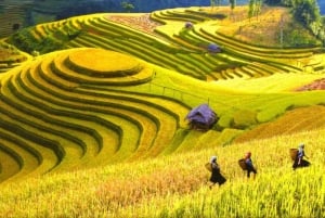 Hanoi: 3-dniowa wycieczka do Cat Cat Village, Fansipan i Moana Sapa