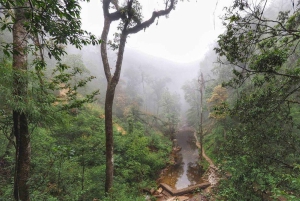 Hanoi: Sapa Topas Ecolodge med VIP-transfer
