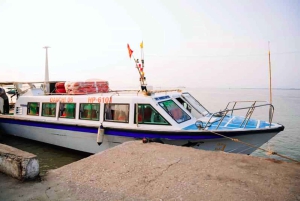 Hanoi: Luksusbussikuljetus Cat Ba -saarelle ja sieltä pois