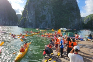 Hanoi: Luksusbussikuljetus Cat Ba -saarelle ja sieltä pois