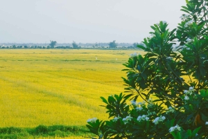 Hanói: salsa de soja, pueblo de los vermicelli y pagoda Thang Nghiem