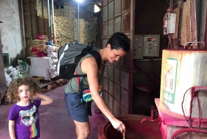 Hanoi-stenkatedralen, røgelseslandsbyen eller Trang An, Mua-grotten