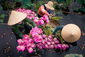 Hanoi-stenkatedralen, røgelseslandsbyen eller Trang An, Mua-grotten