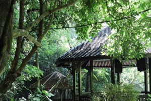 Hanoi-stenkatedralen, røgelseslandsbyen eller Trang An, Mua-grotten