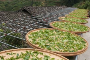 Hanoi: teeseremonia, ruoanlaittokurssi ja perheperinteet